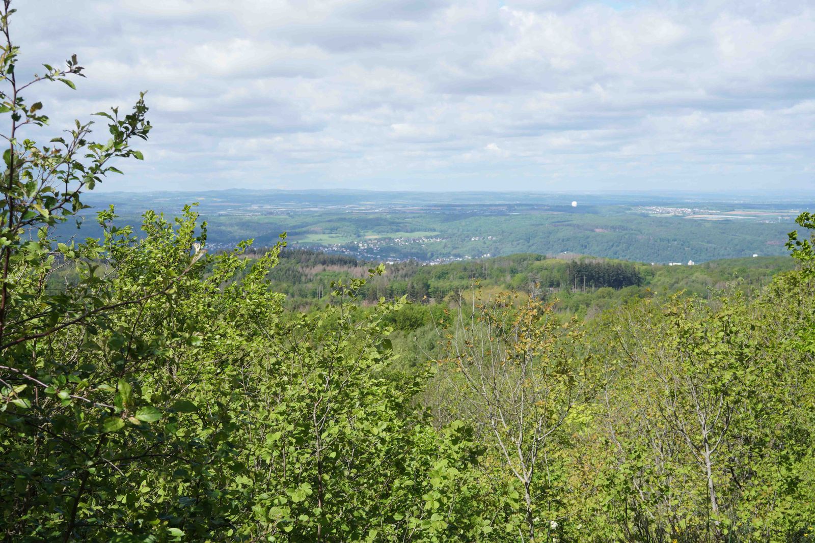 Asberg