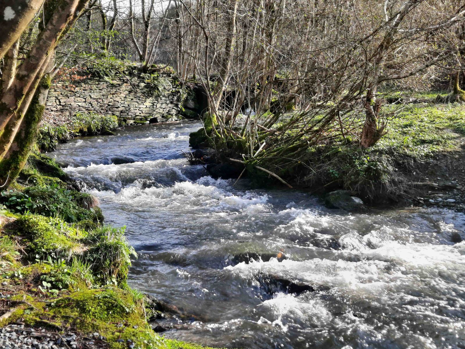 Ourthe