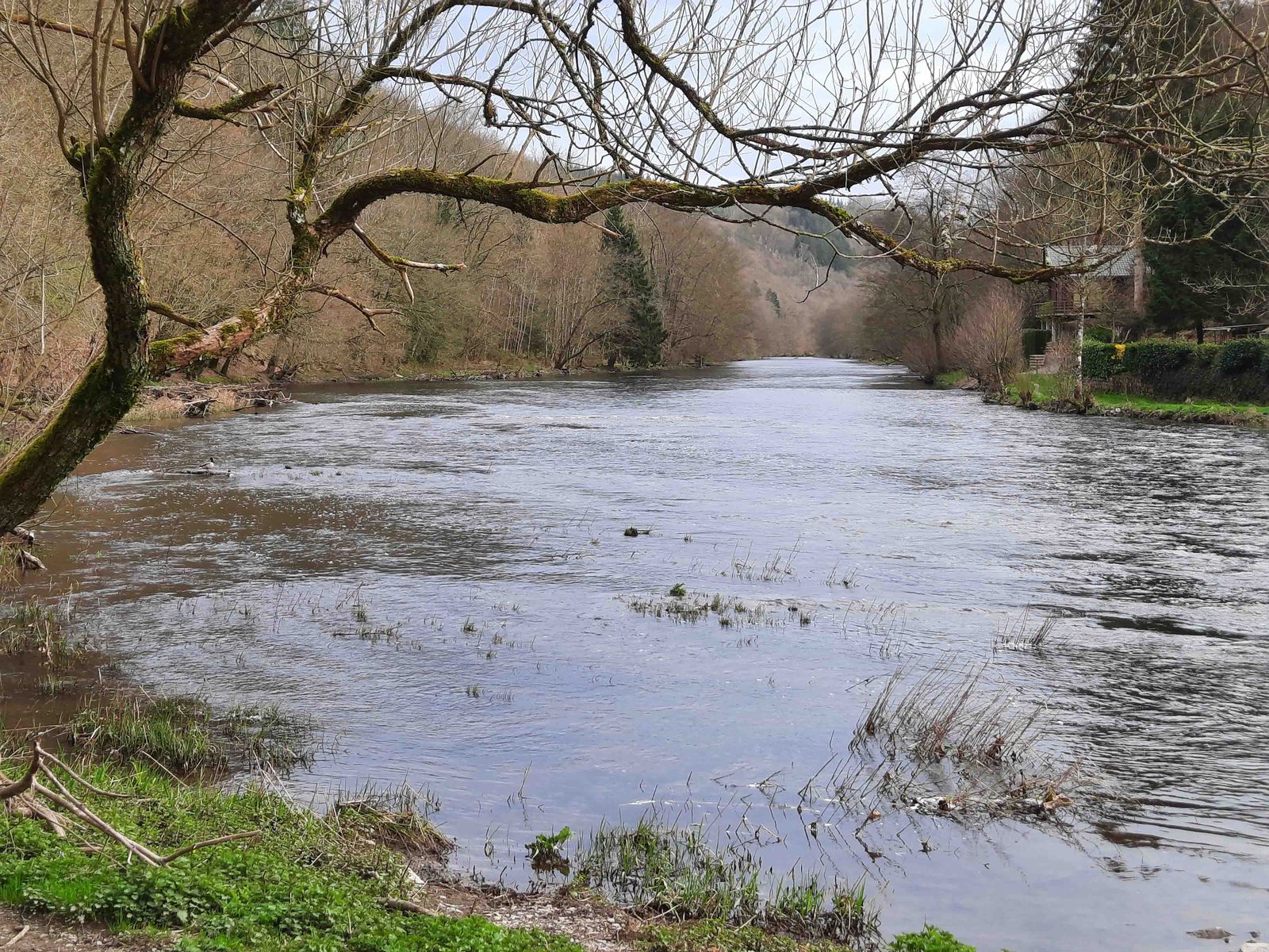 Ourthe