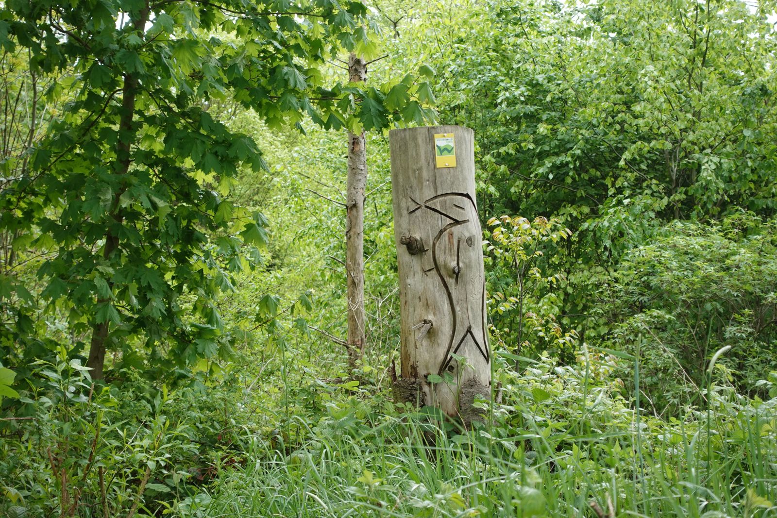 Zuweg