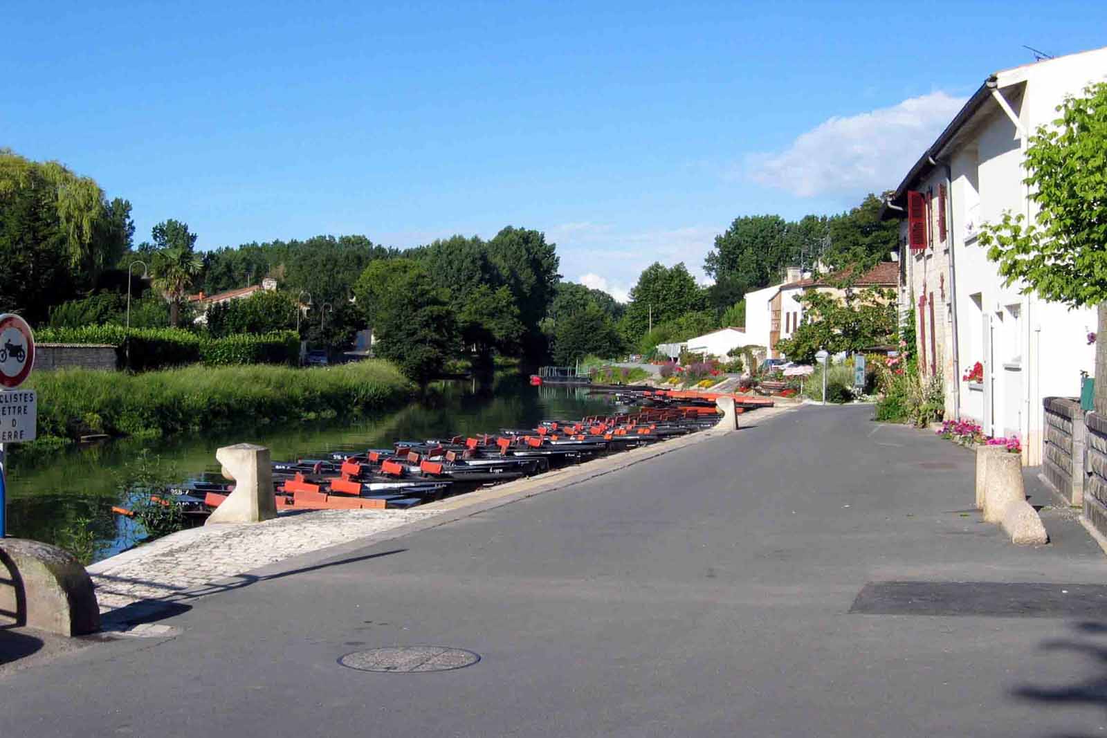 Coulon