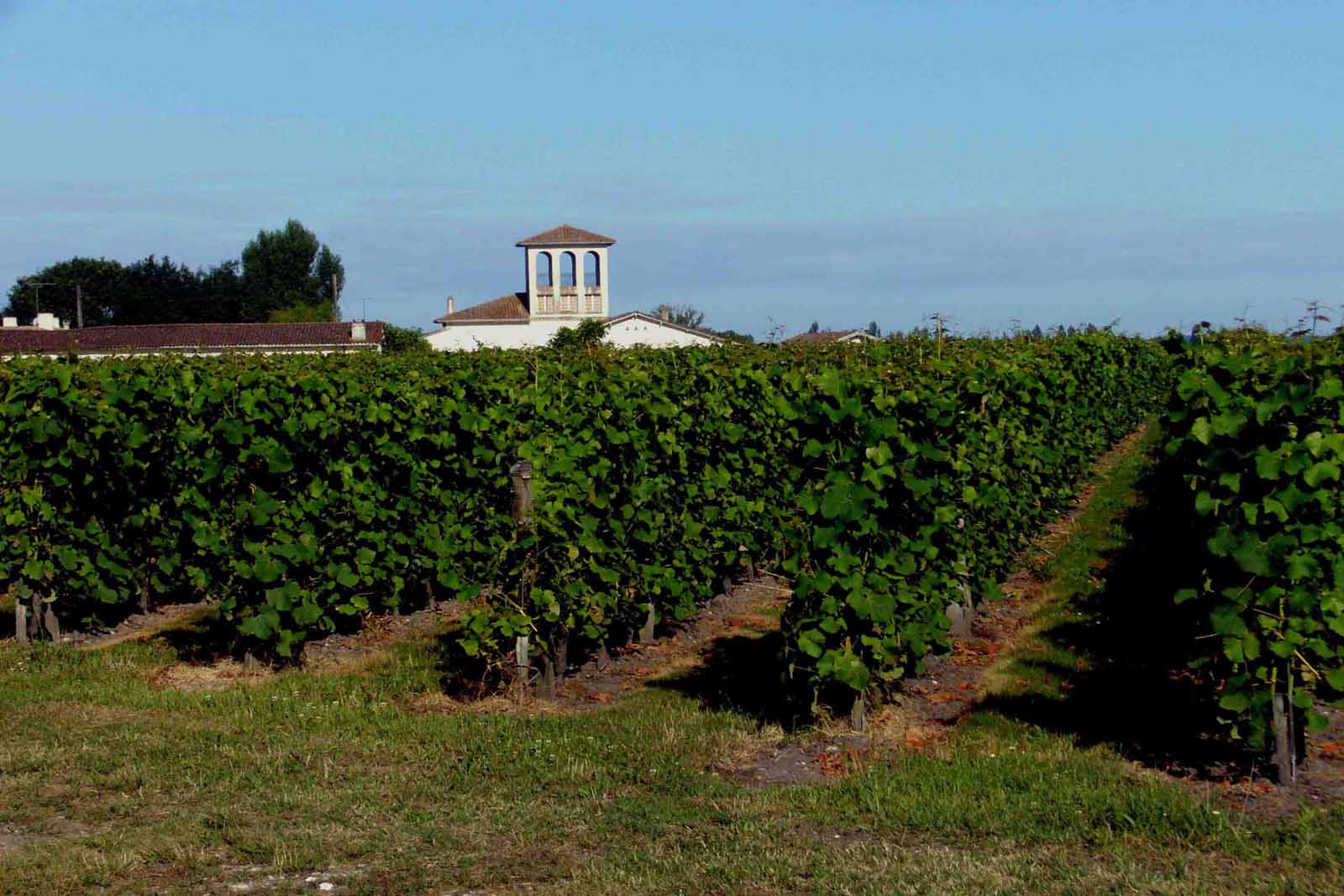 Chateau