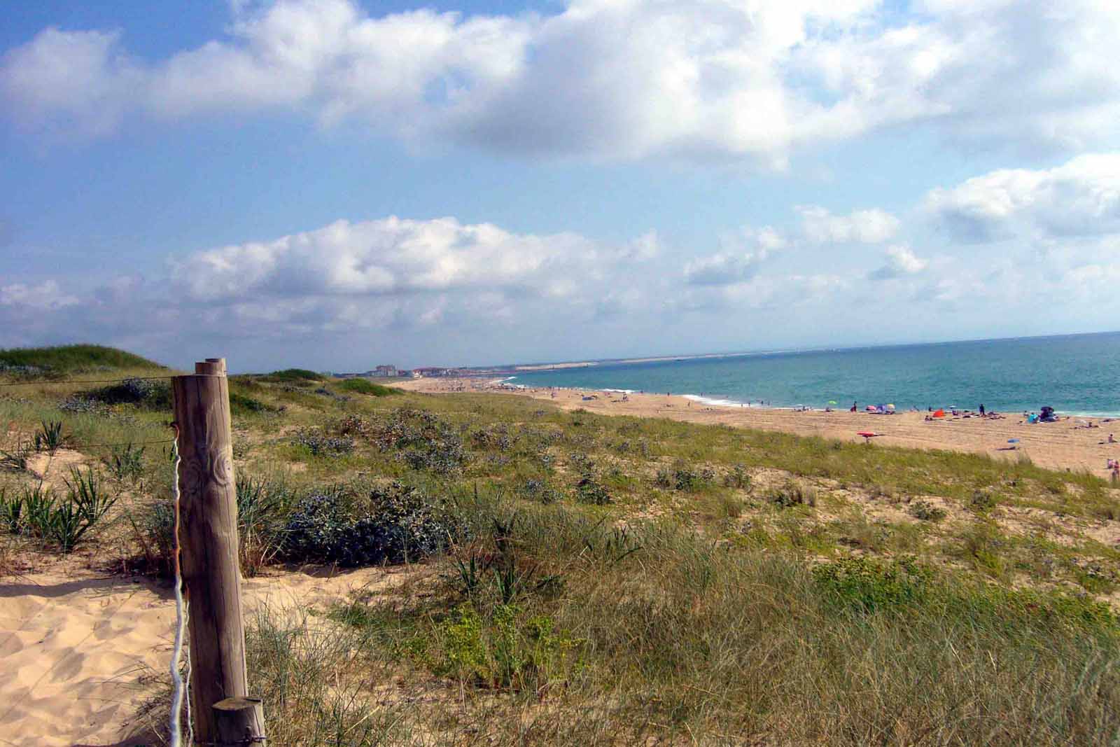Pissos