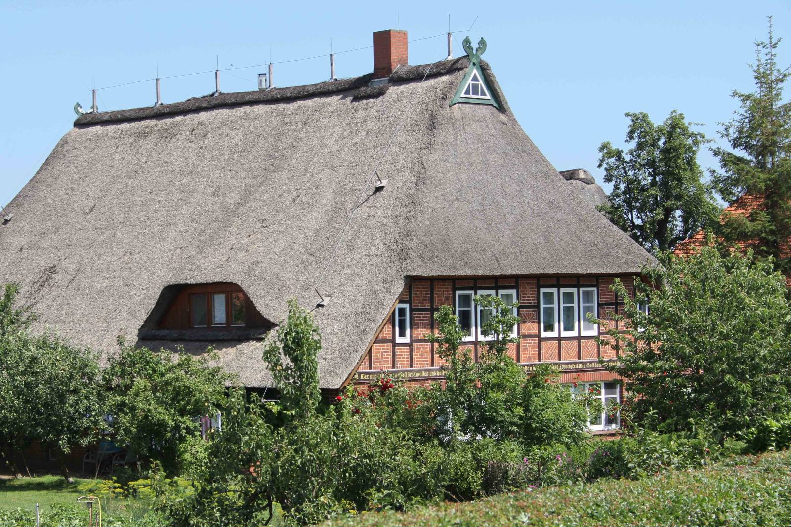 Konau