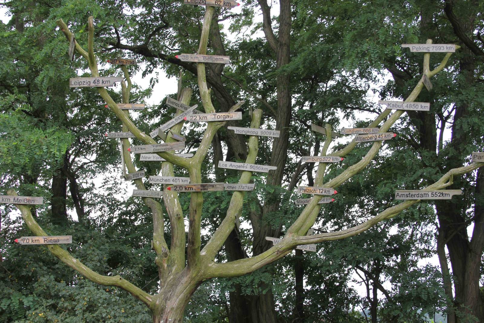 „Schilderbaum“