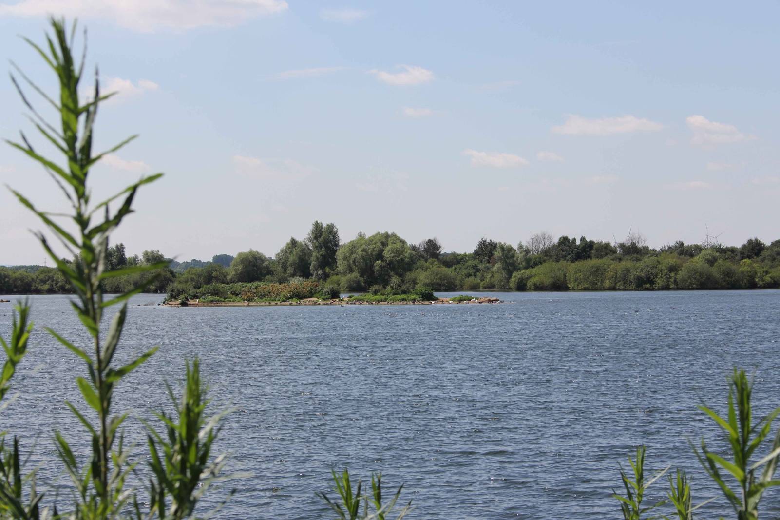 Tierbeobachtungsstation
