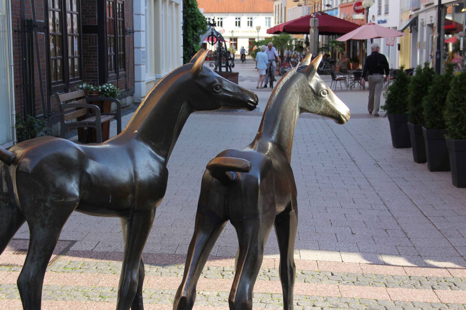 Verden