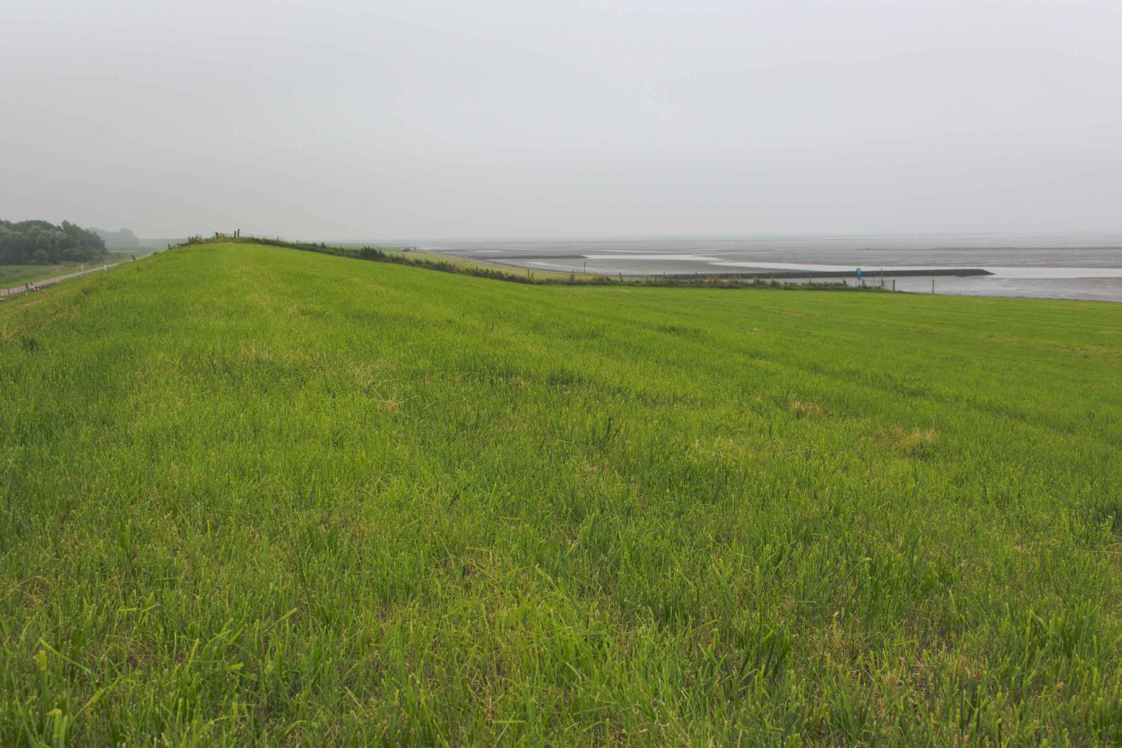 Wattenmeer