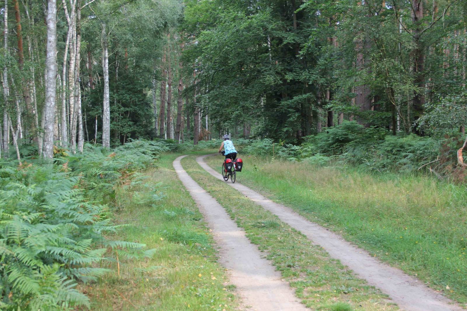 Waldweg