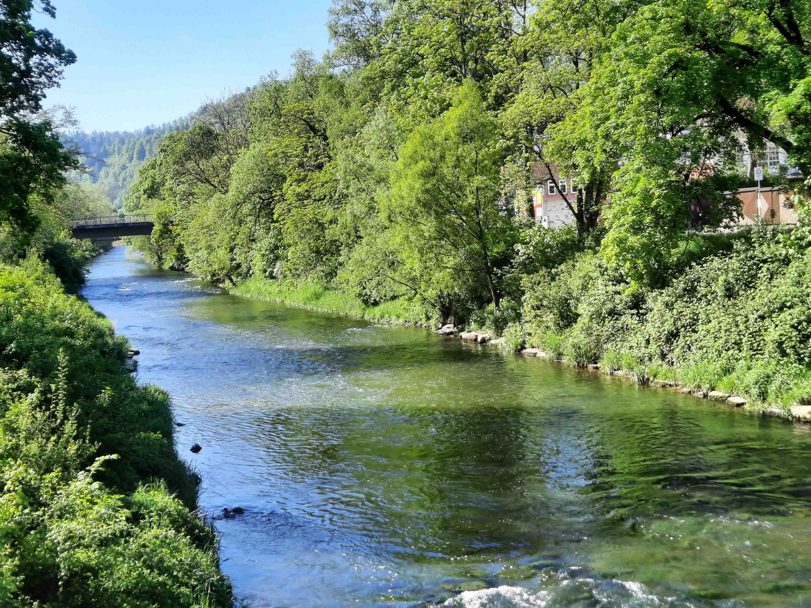 Oberndorf
