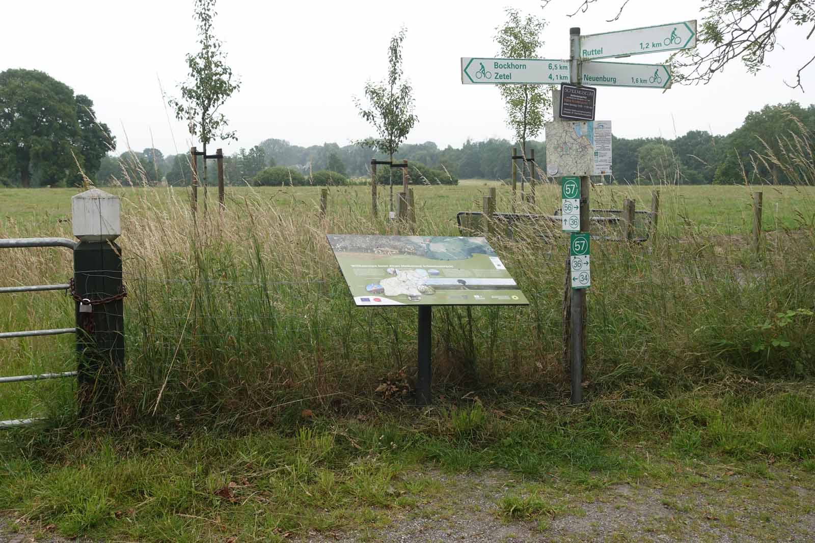 Marschlandschaft