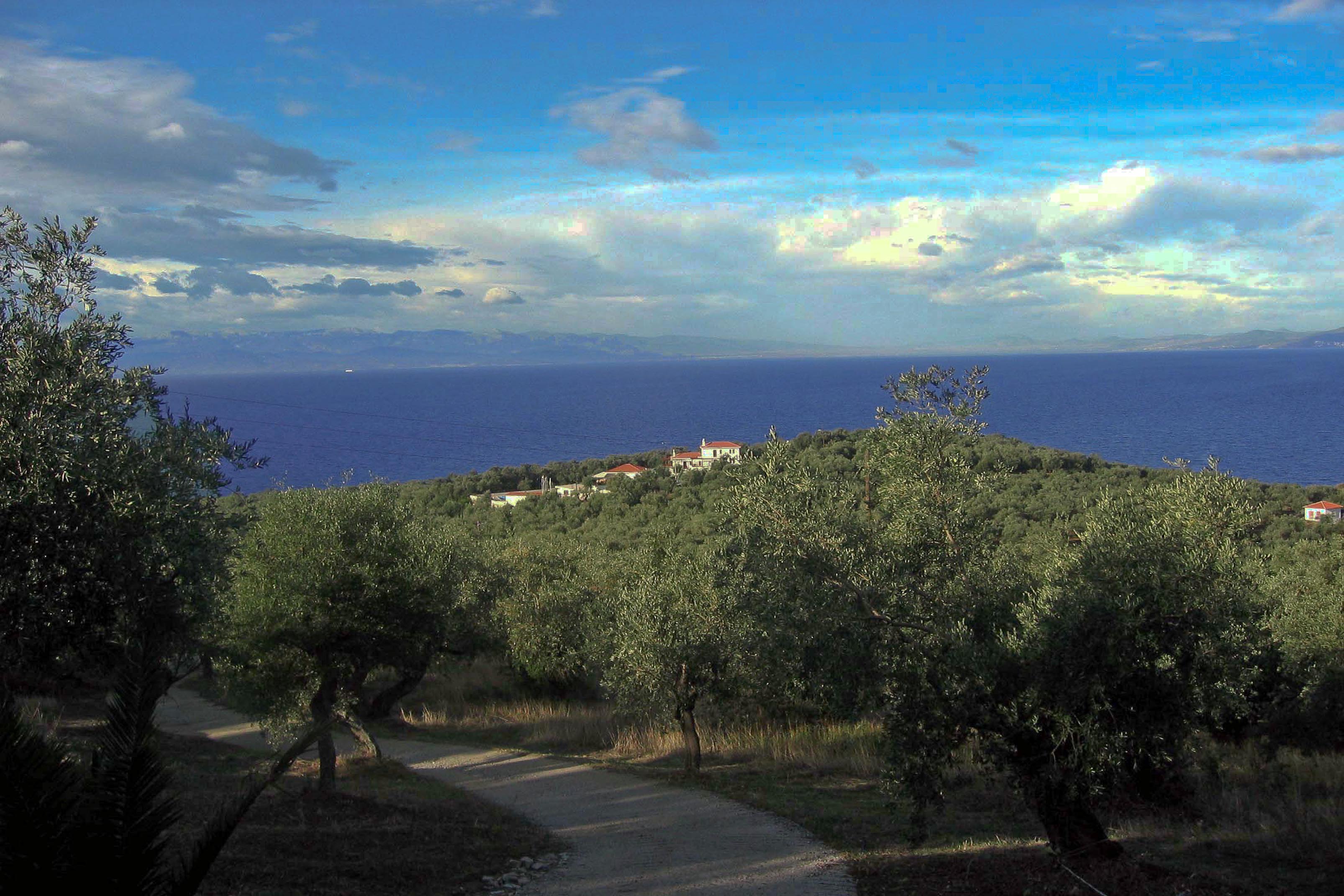 Afissos2003