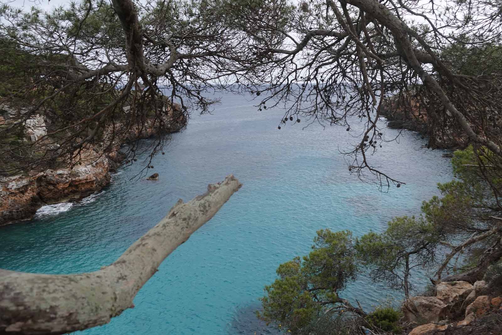 Mallorca2026-006