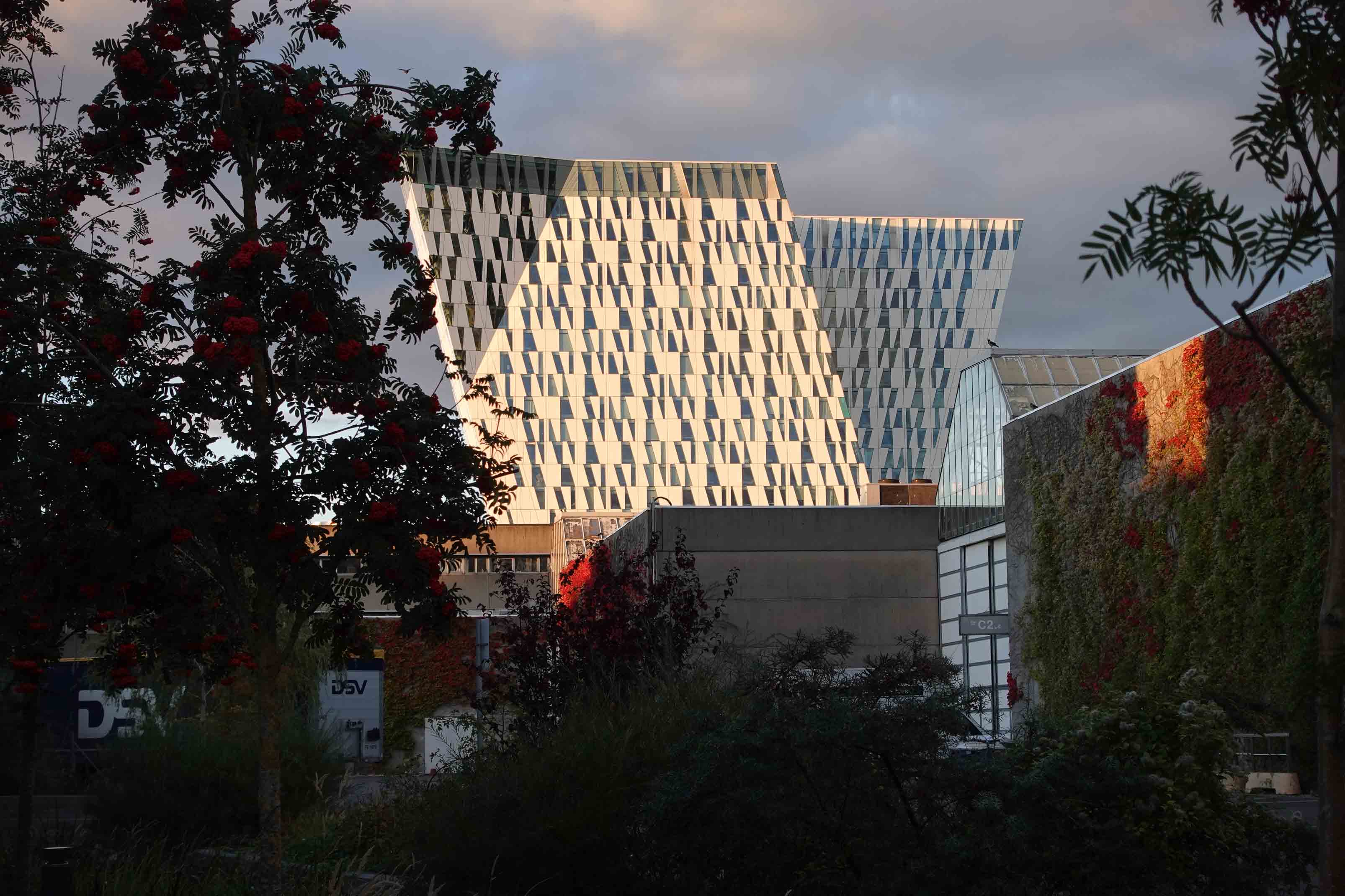 Kopenhagen2024-4