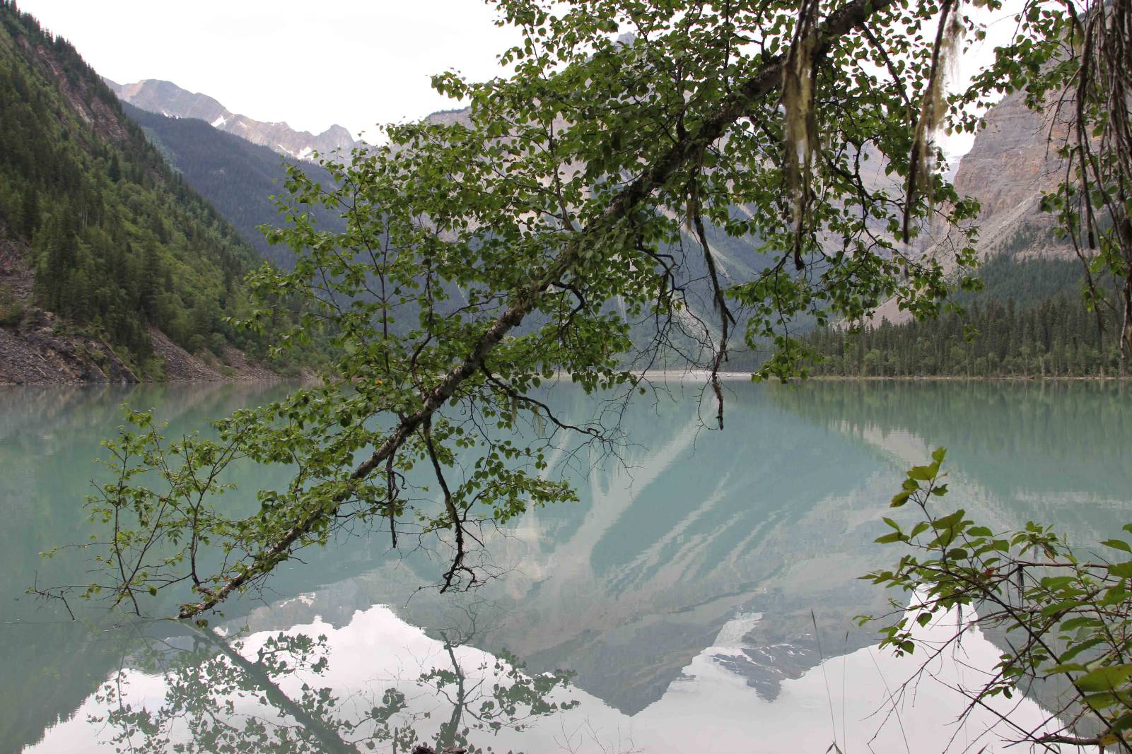 Kinney-Lake