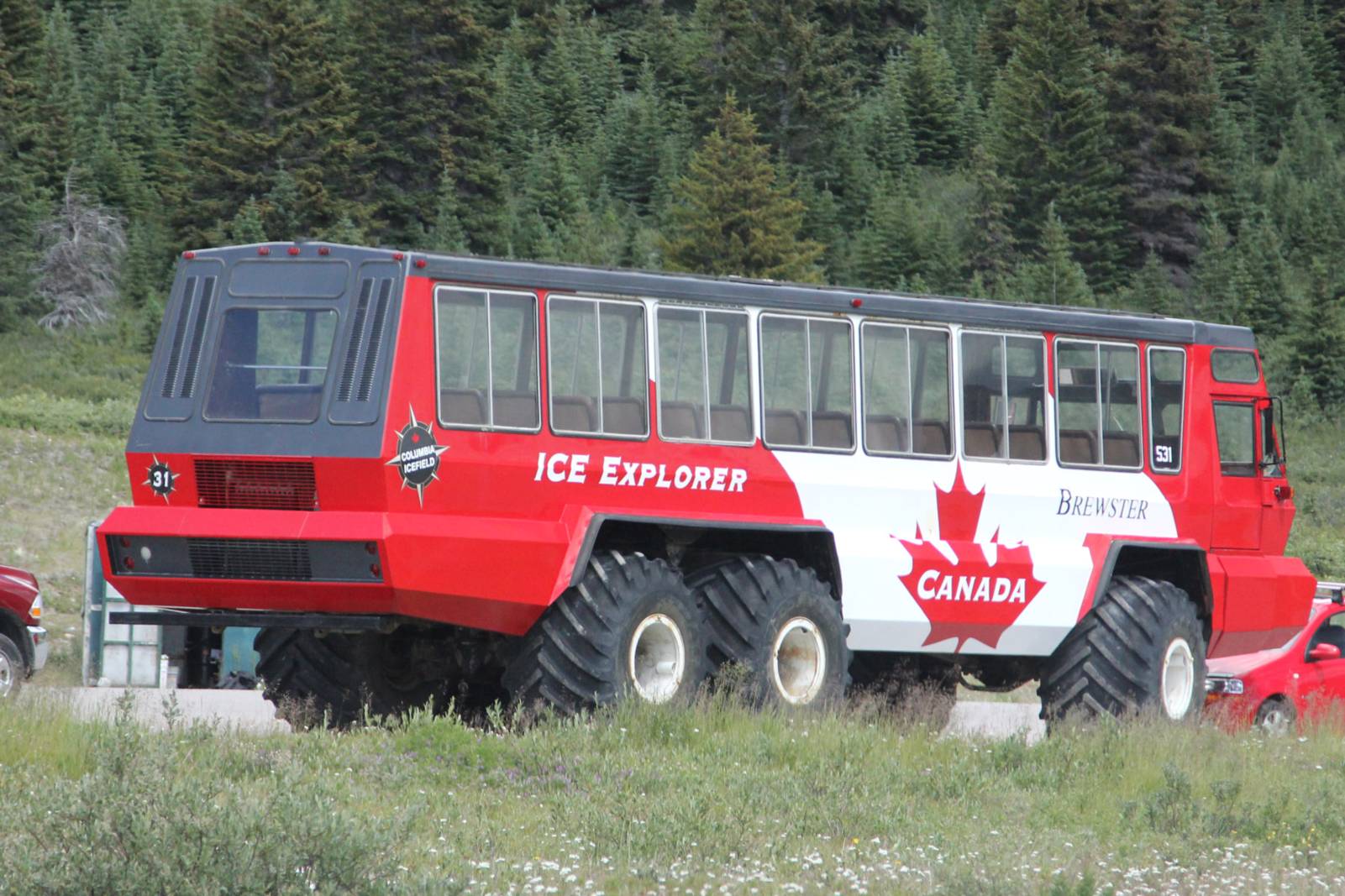 Icefield
