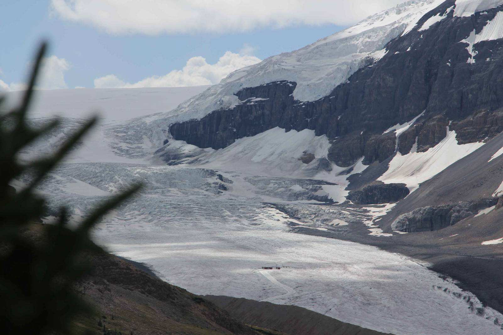 Icefield