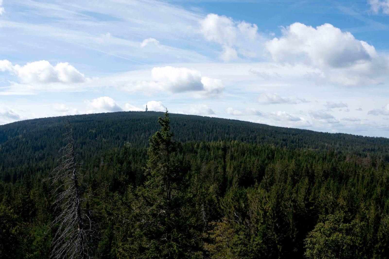 Schneeberg