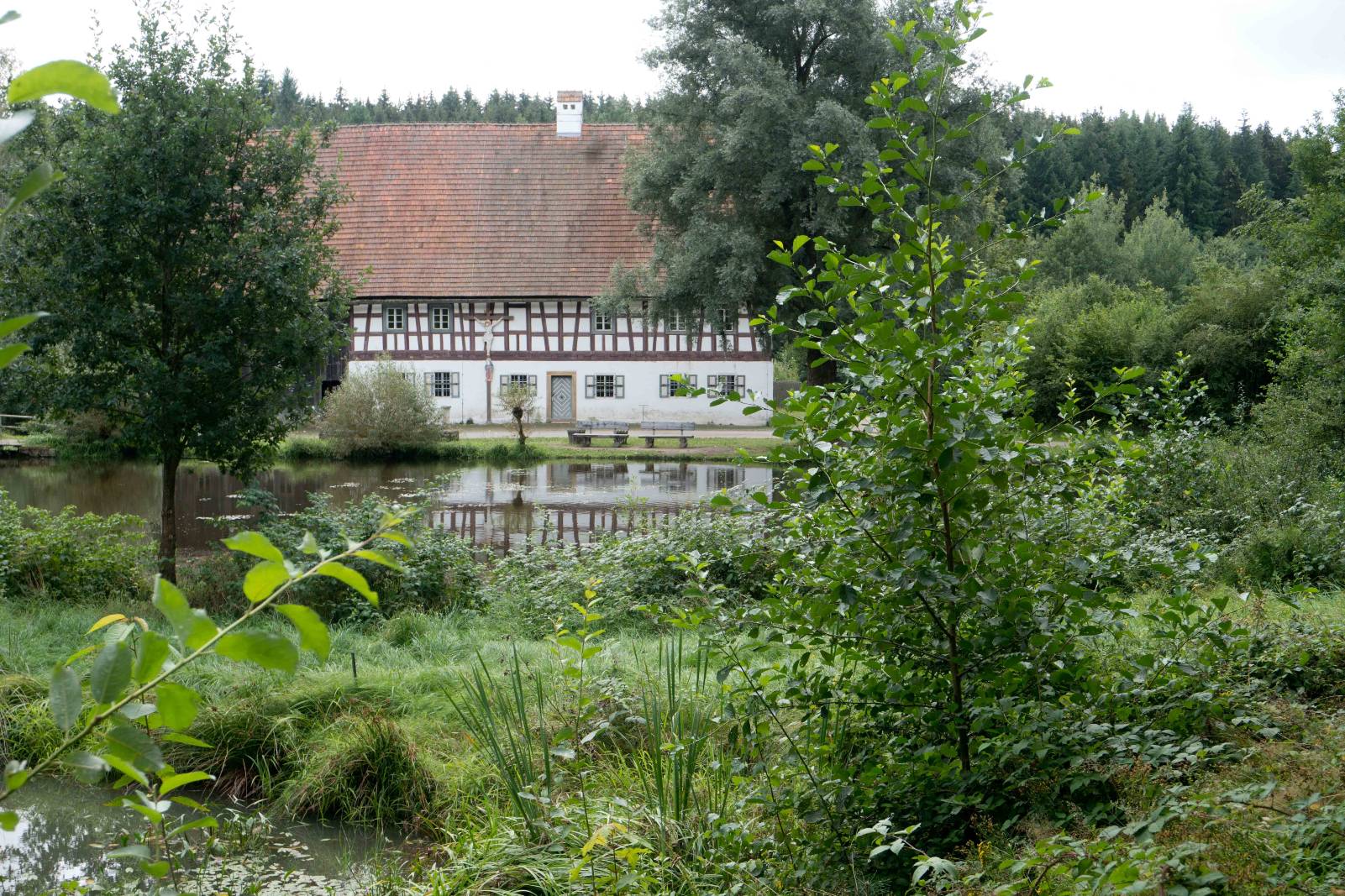 Museum