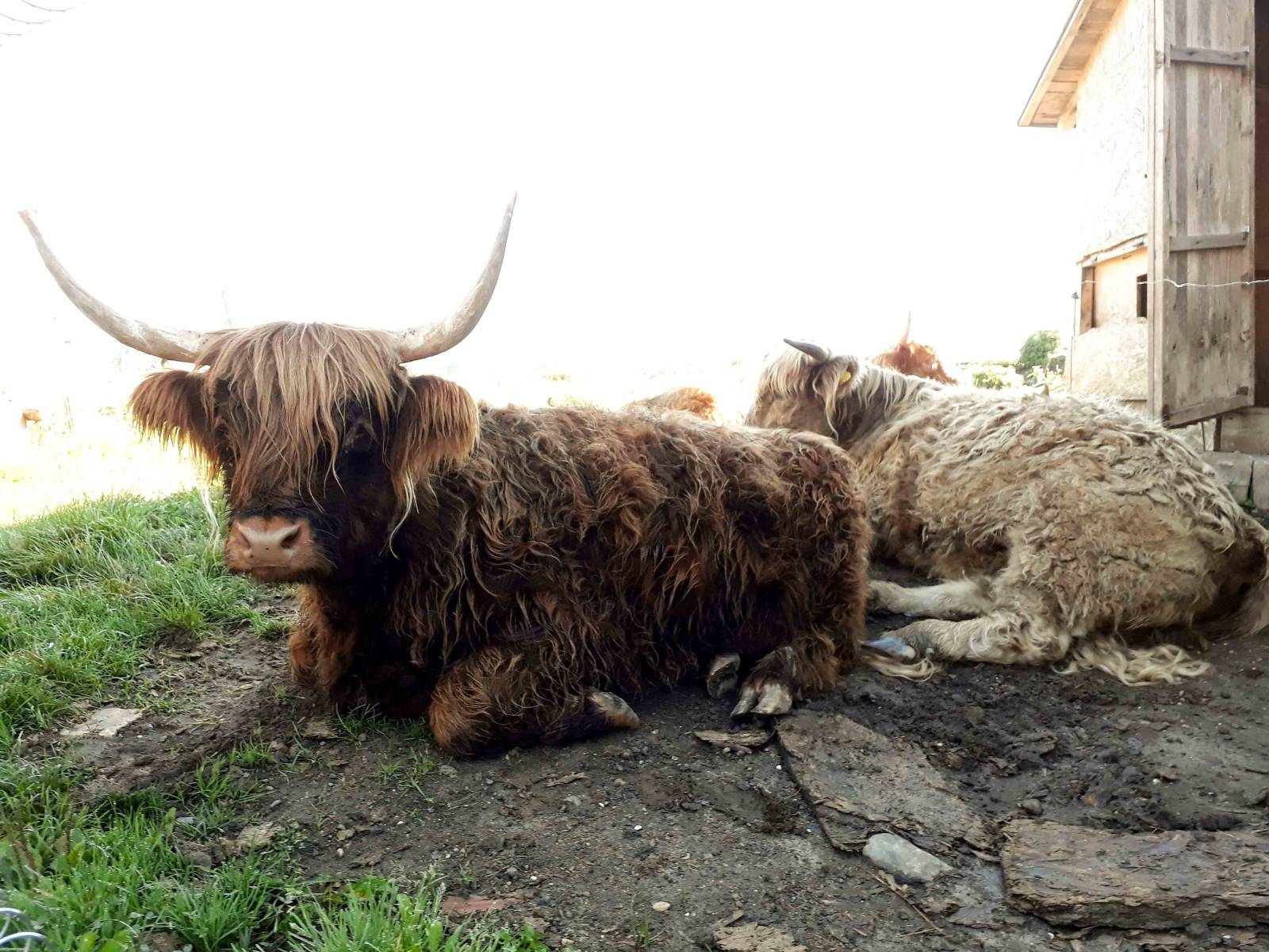 Landgut