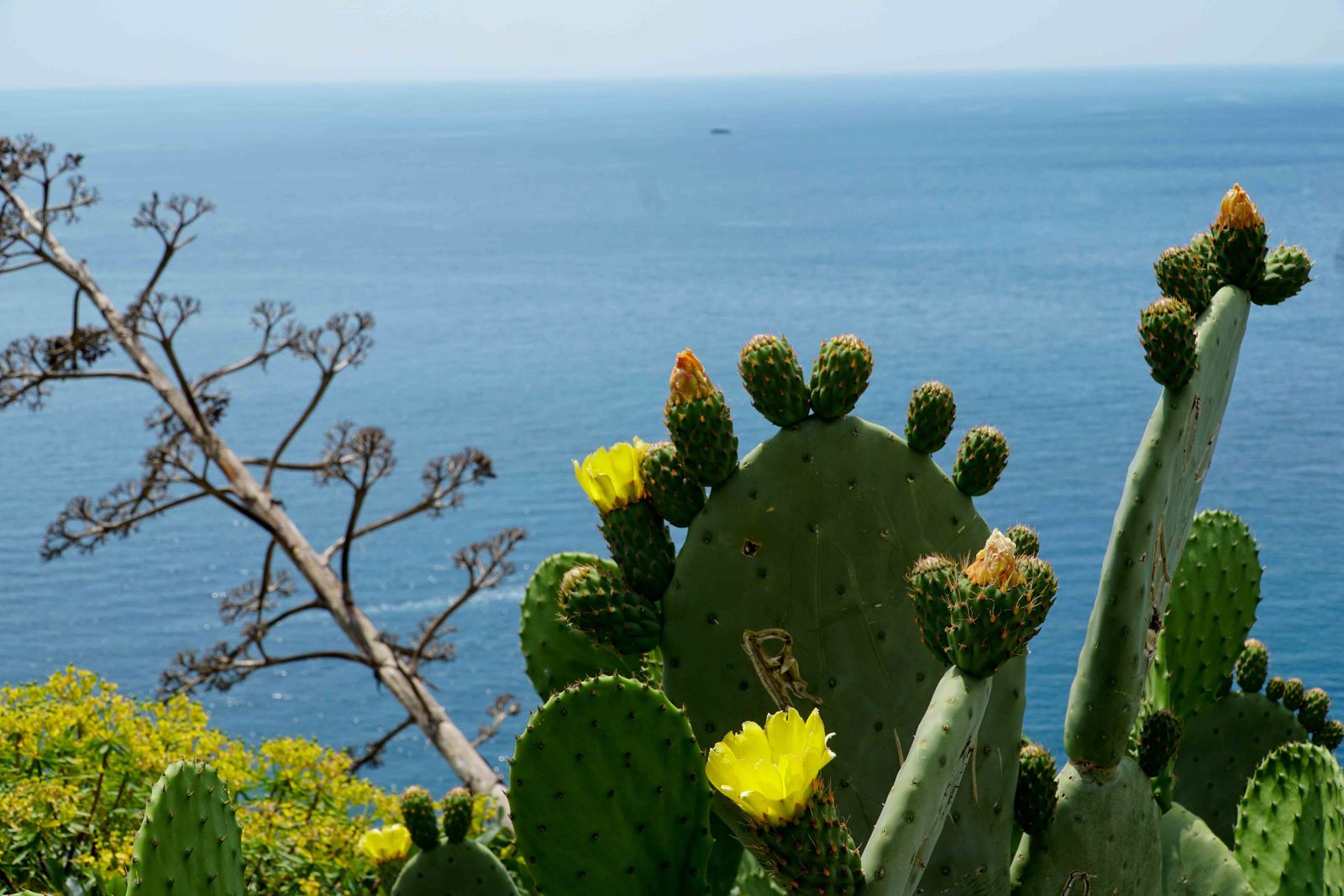 Cinque Terre
