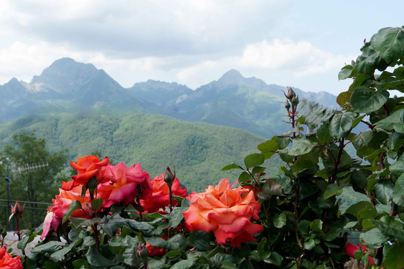 Garfagnana