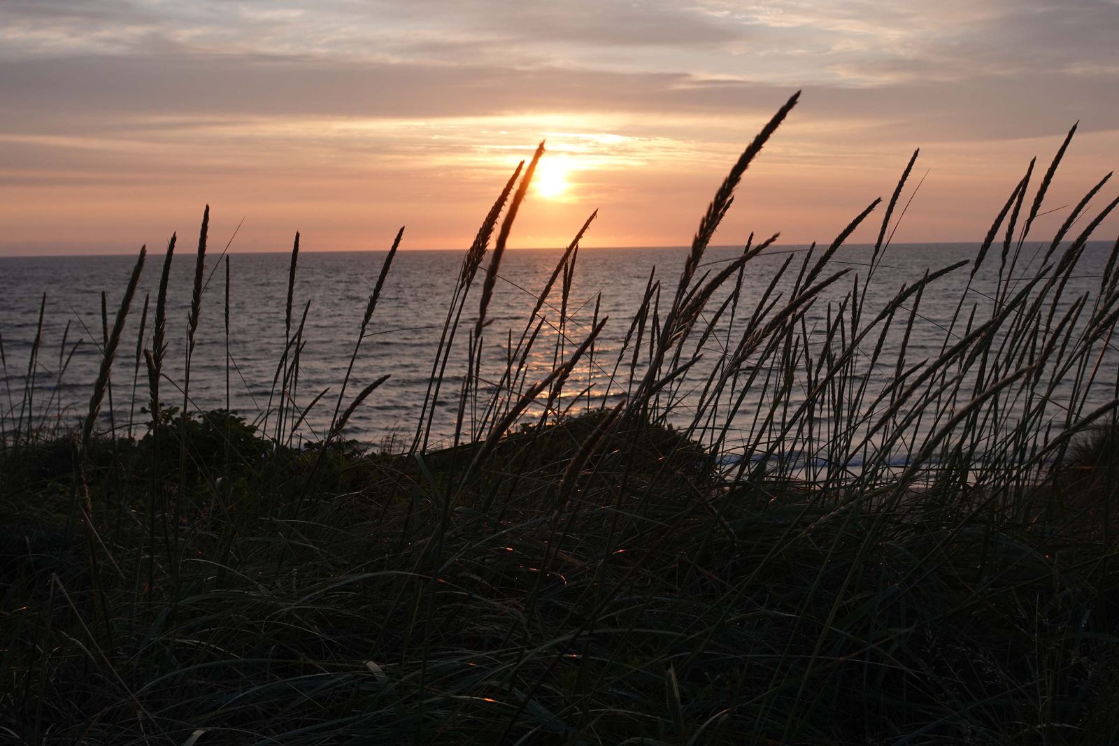 Dünenlandschaft
