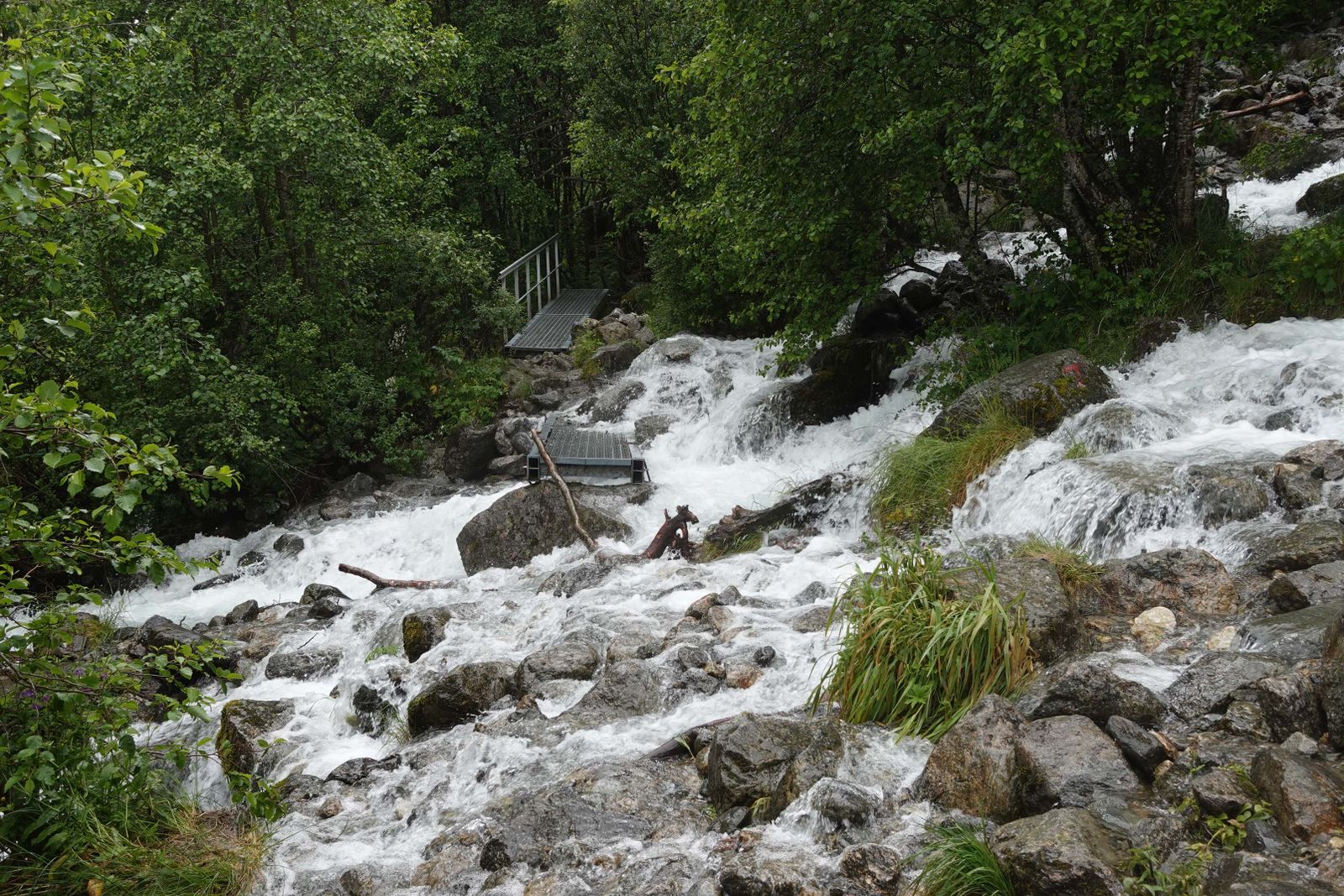 Wasser