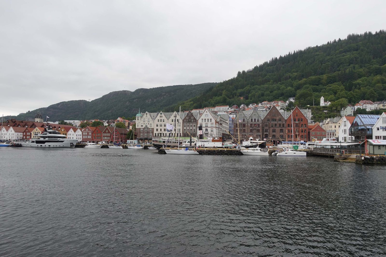 Wanderer vor dem Fjord