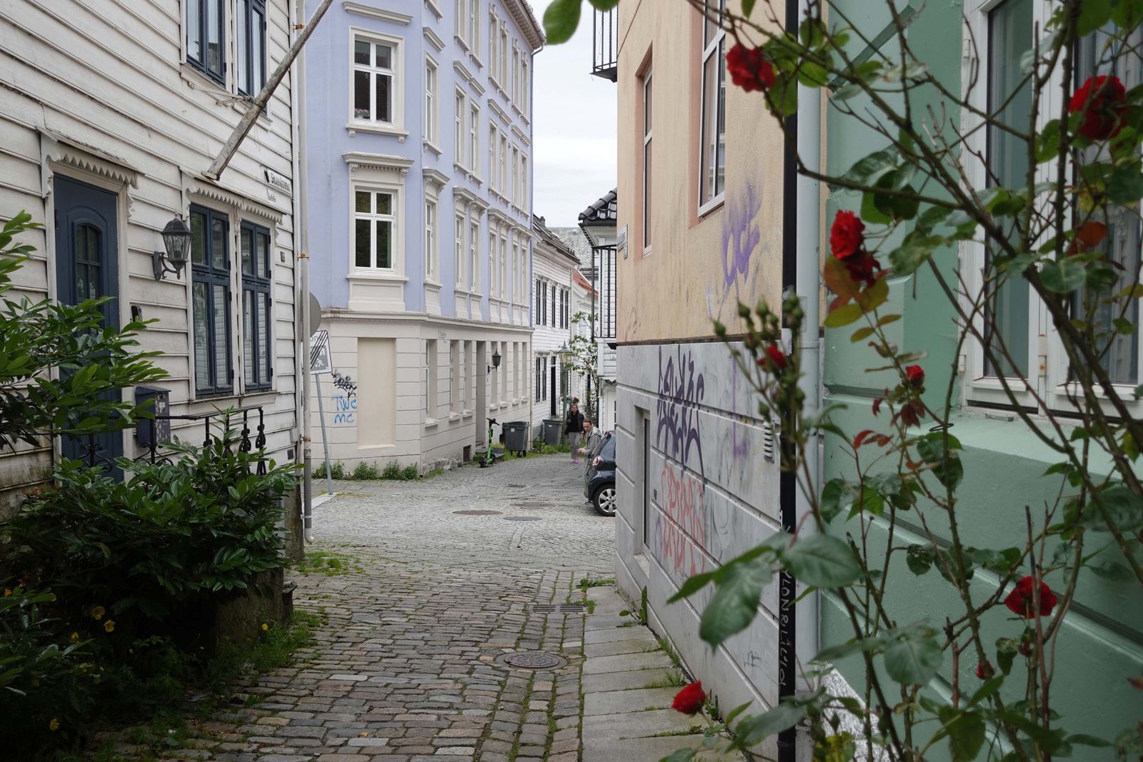 Bergen8