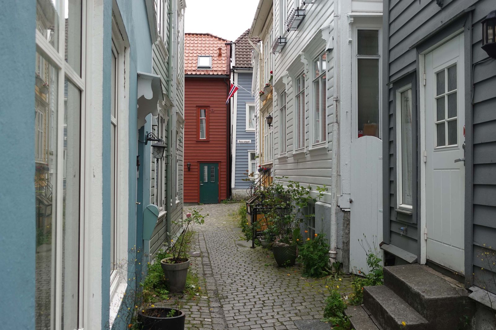 Bergen8