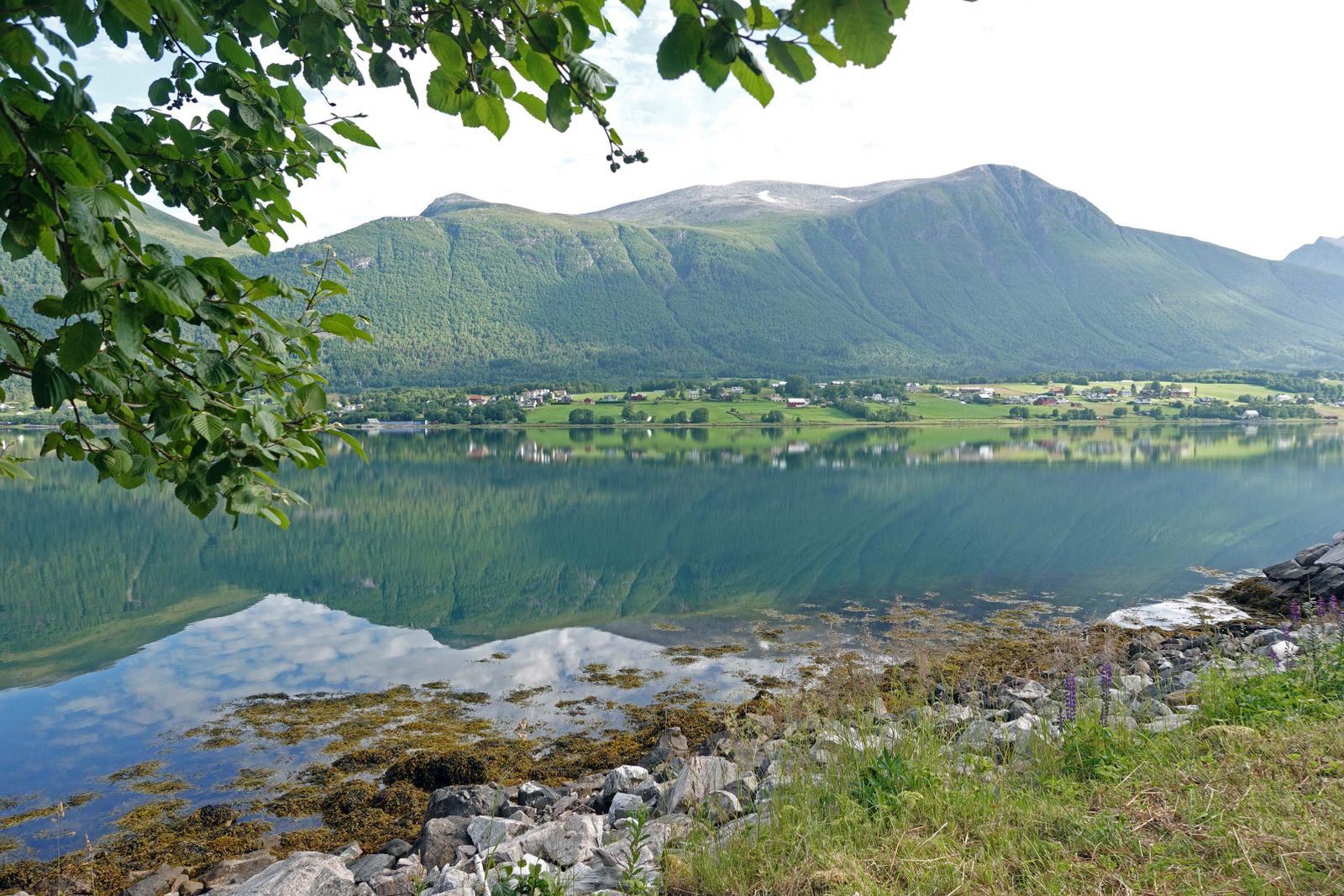 Isfjord