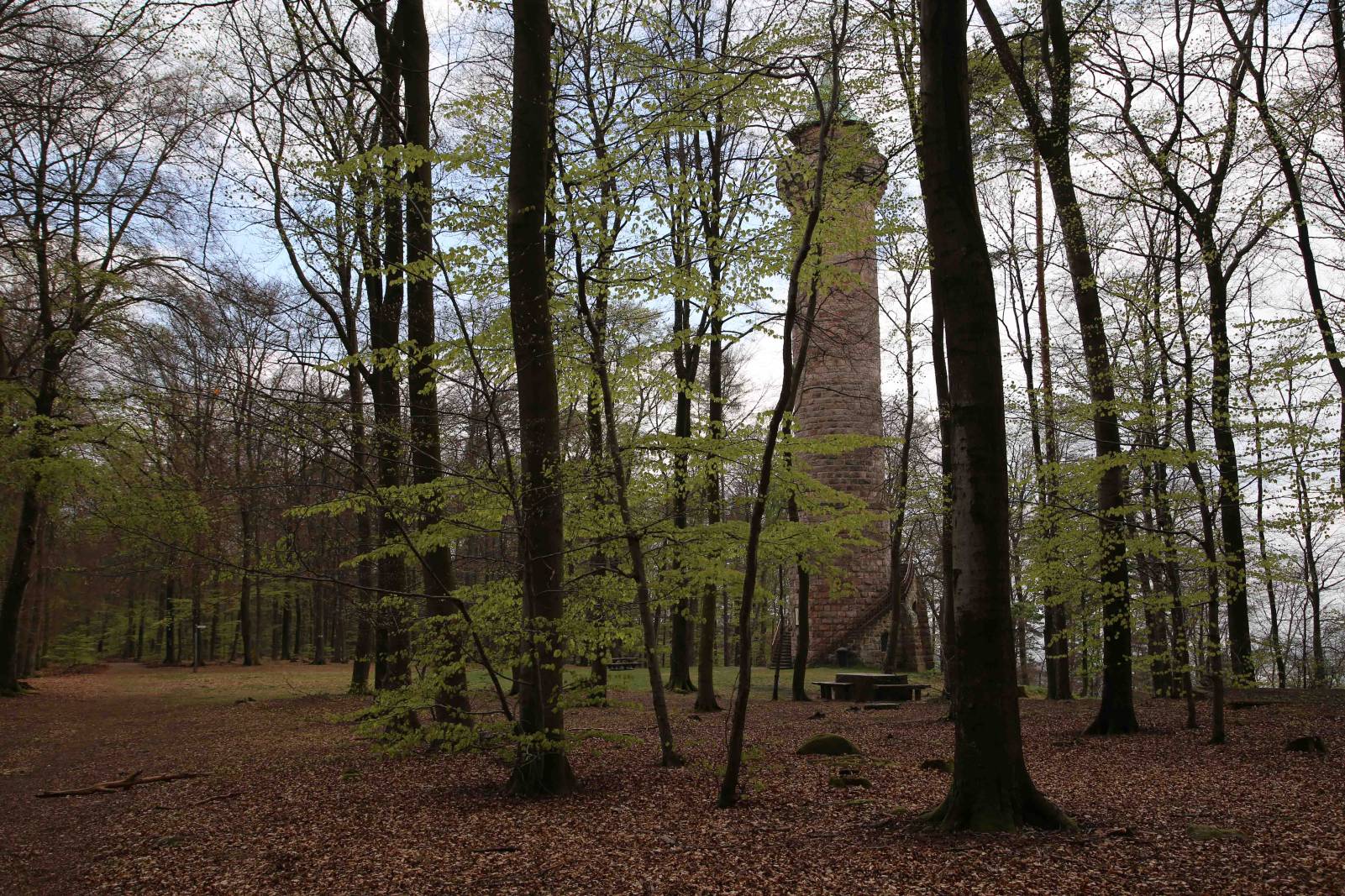 Humbergturm