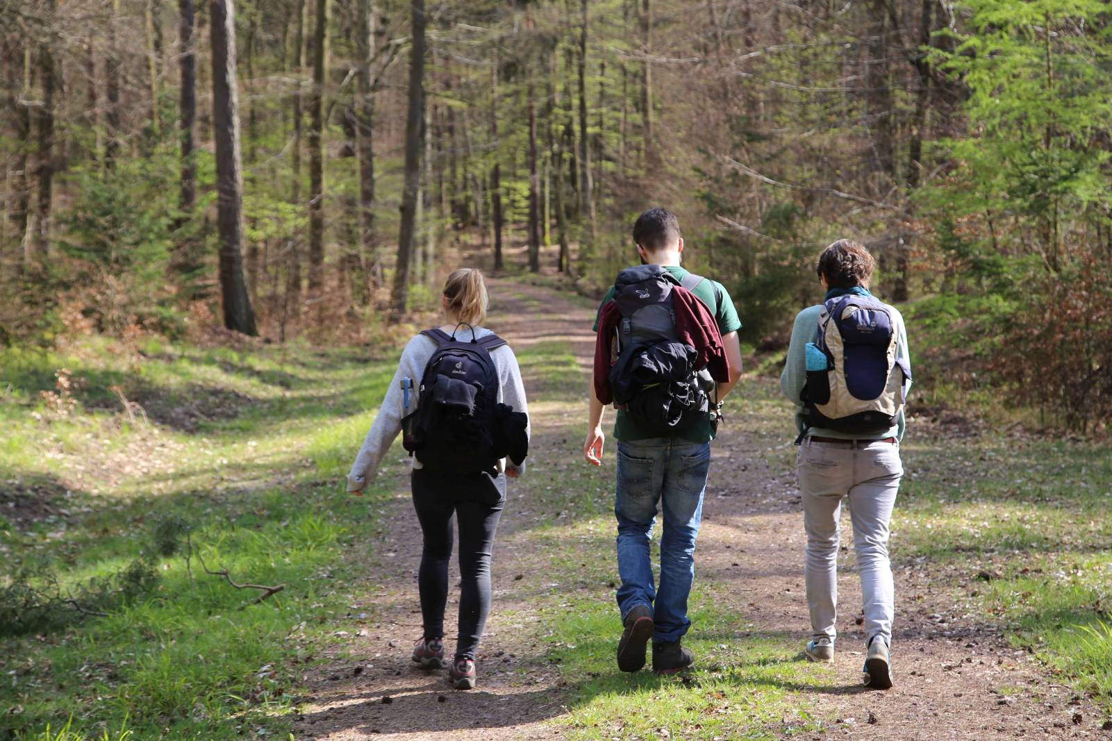 Auslauf
