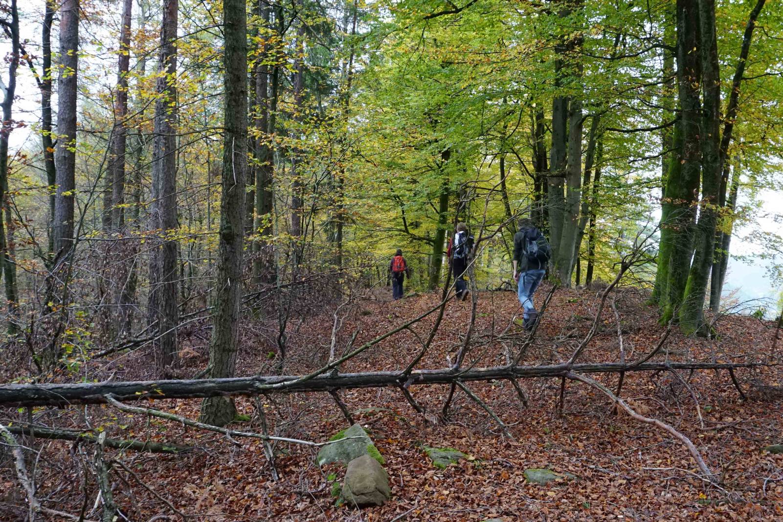 Etschberg