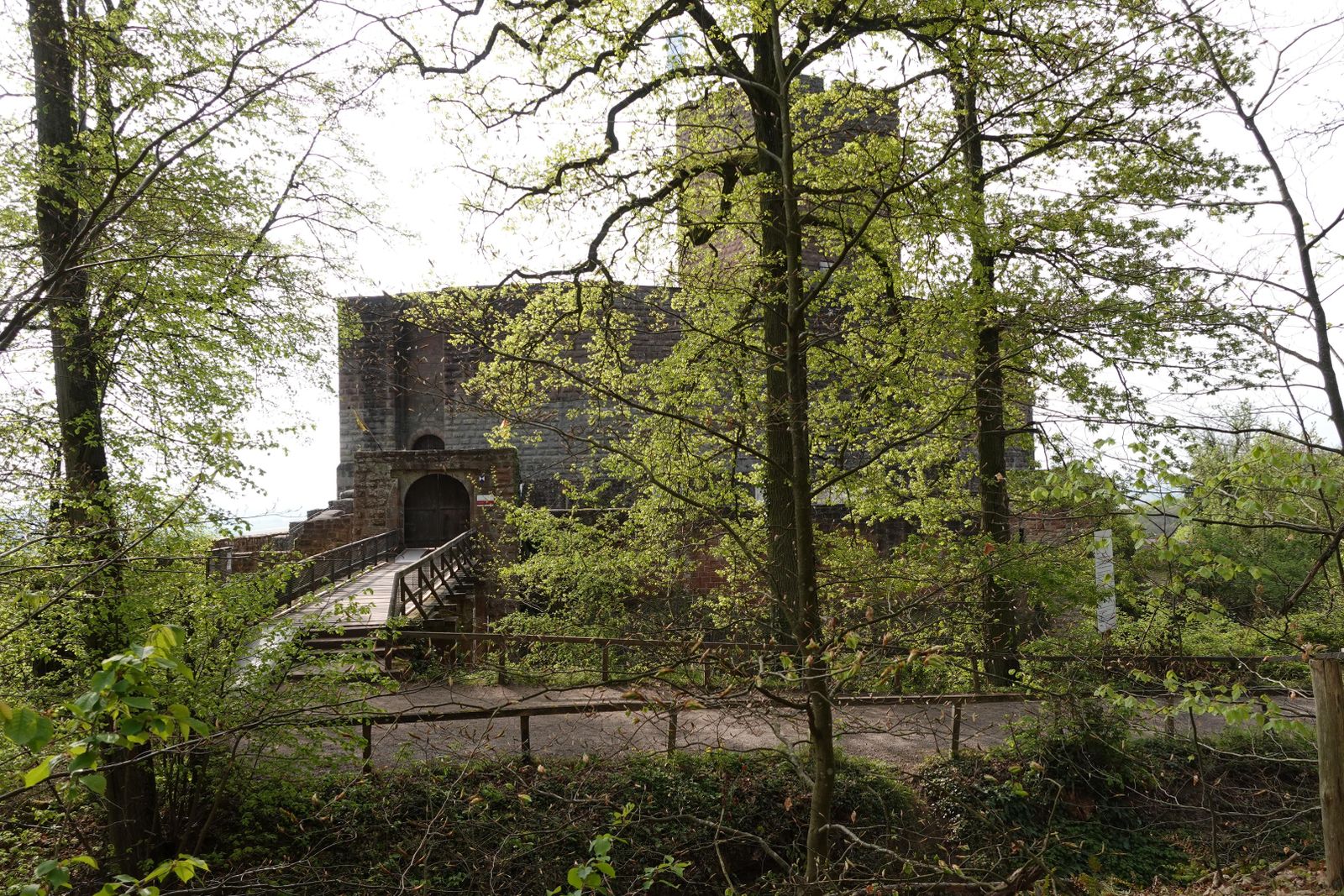 Burgtor