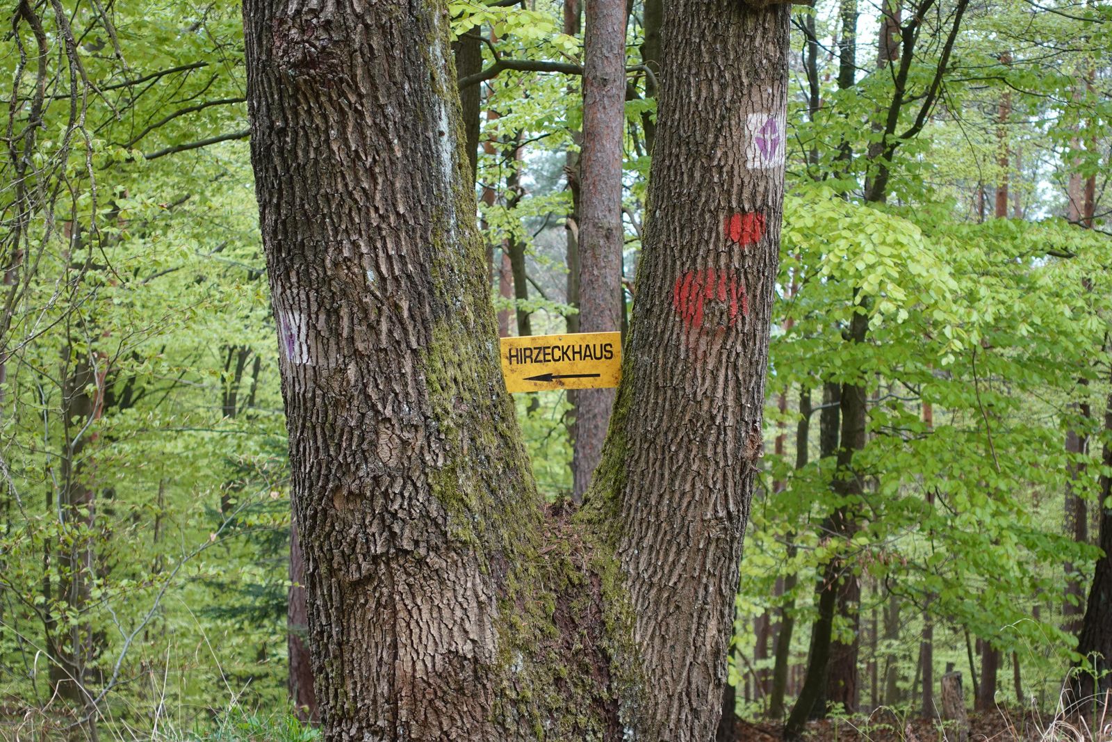 Markierung