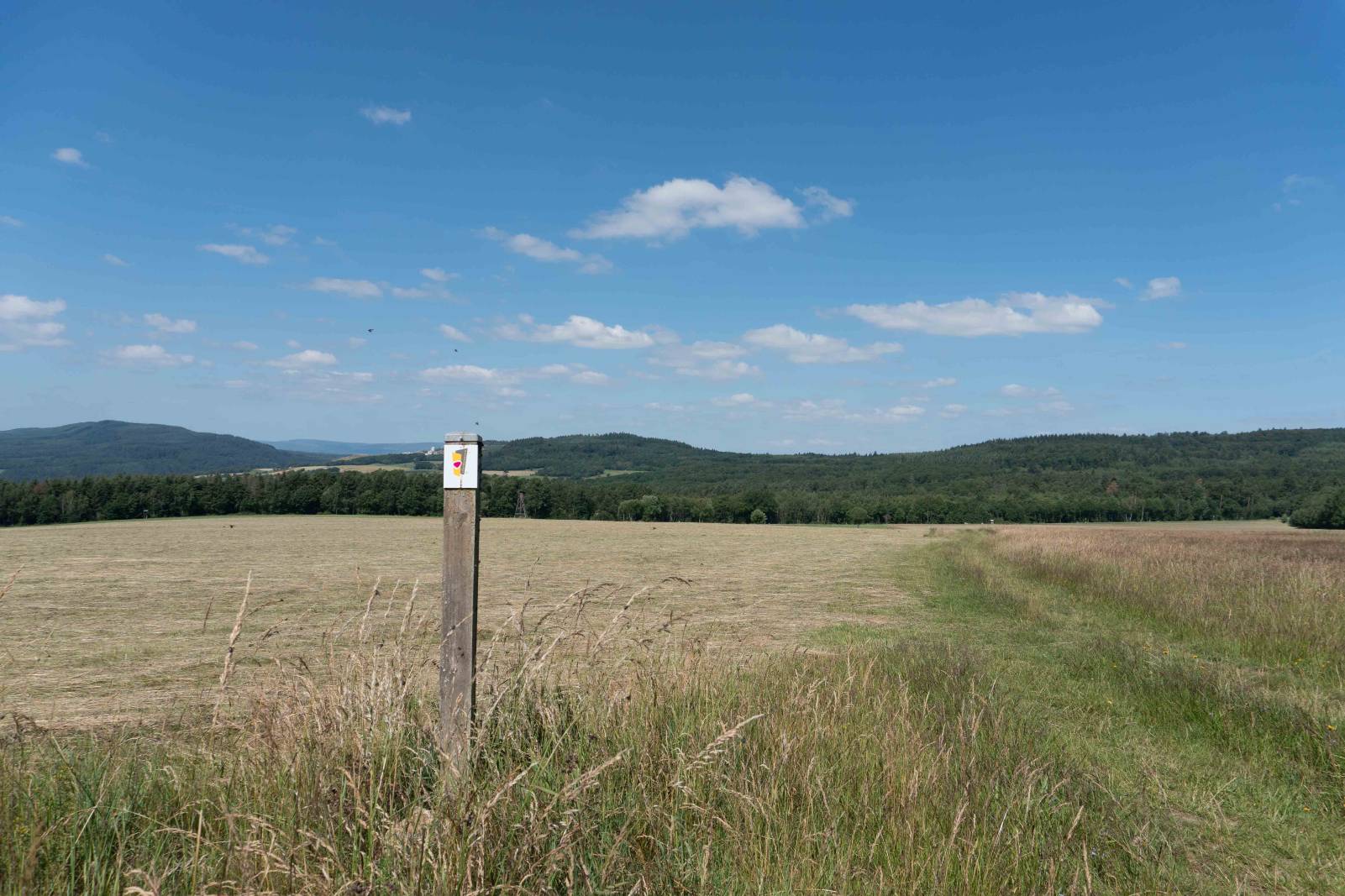 Rundblick