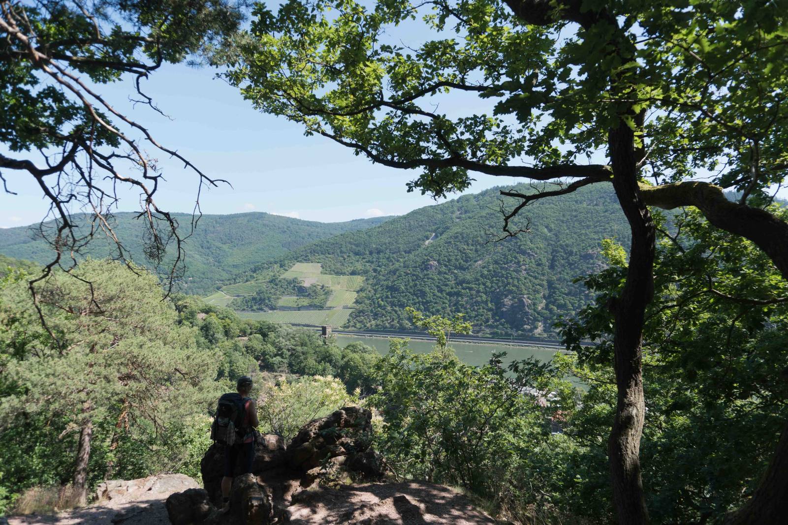Reichenstein
