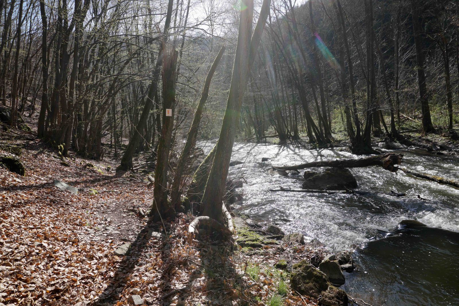Simmerbachtal