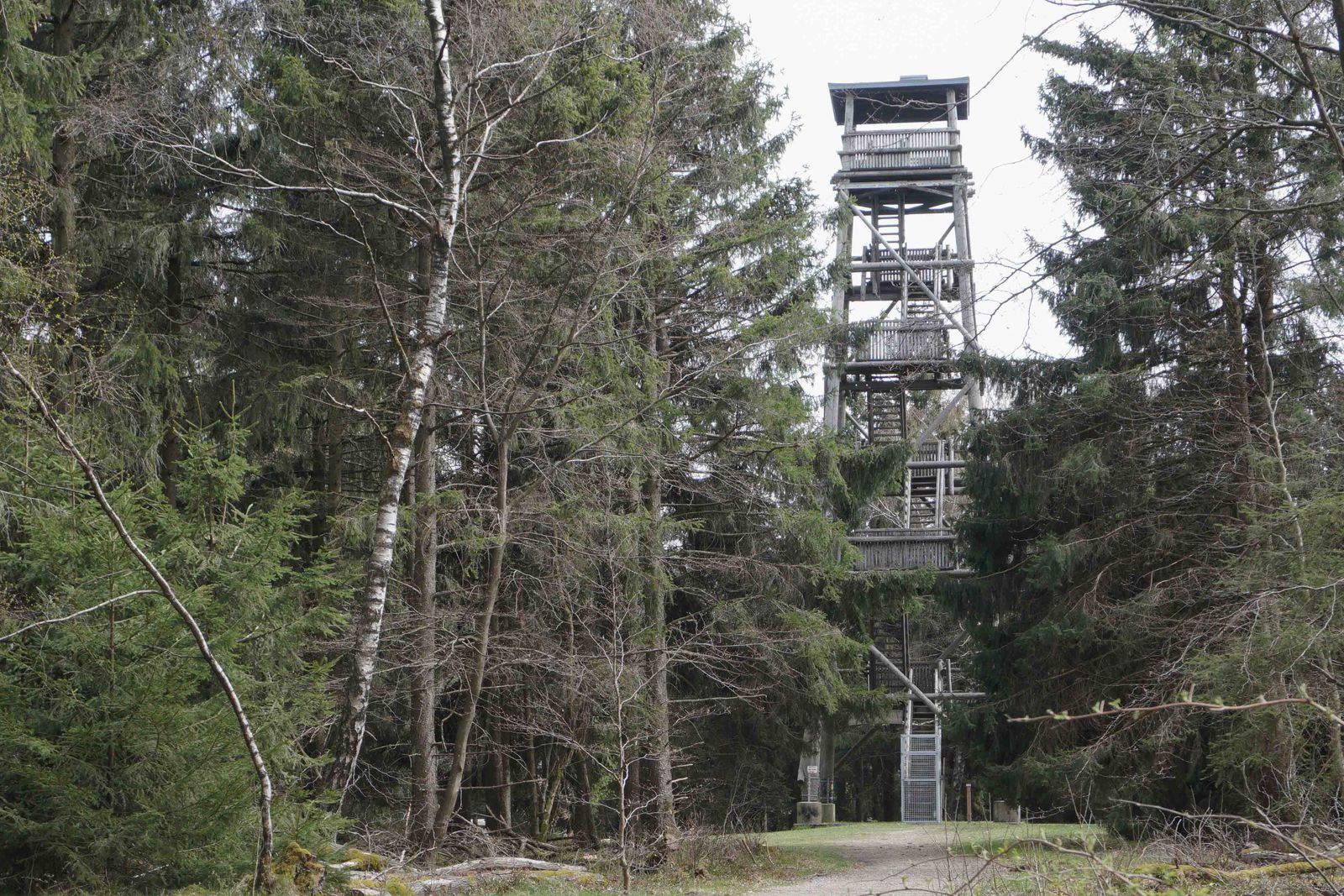 Salzkopf