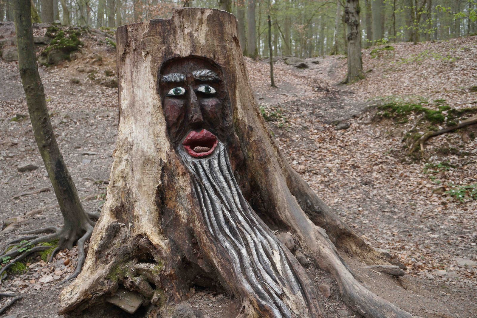 Baumgeister