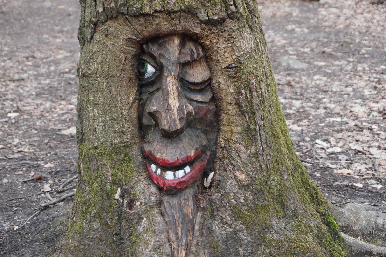 Baumgeister