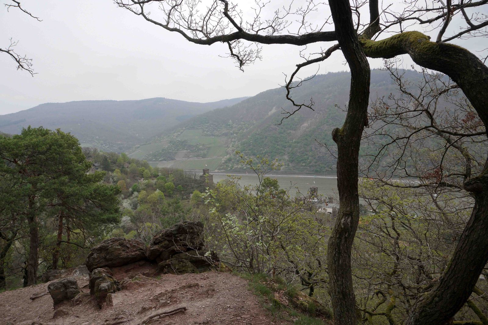 Rheintal