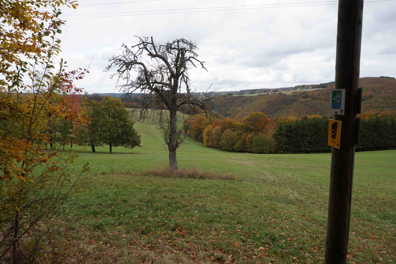 Saar-Hunsrück-Steig